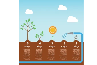 فایل لایه باز مراحل کاشت و رشد گیاه همراه با پوشه فونت
