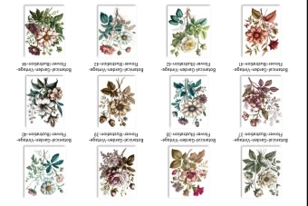 تصاوری بسیار زیبا ویژه طراحی های گرافیکی با موضوع گل شماره 4