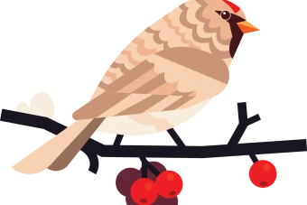 پکیج 40 عددی وکتور پرندگان