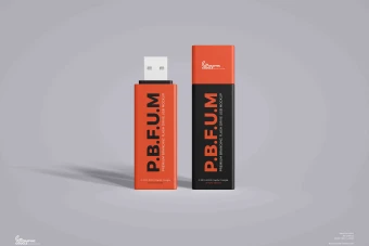 موکاپ فلش یو اس بی