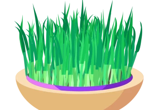 وکتورهای نوروزی(60عدد)