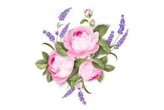 وکتور بوته گل(شاخه گل) بدون پس زمینه لایه باز و قابل ویرایش