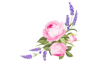 وکتور بوته گل(شاخه گل) بدون پس زمینه لایه باز و قابل ویرایش