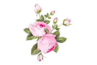 وکتور بوته گل(شاخه گل) بدون پس زمینه لایه باز و قابل ویرایش