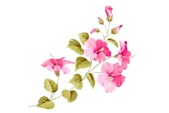 وکتور بوته گل(شاخه گل) بدون پس زمینه لایه باز و قابل ویرایش