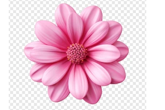 فایل گل و شکوفه بدون پس زمینه با کیفیت بالا