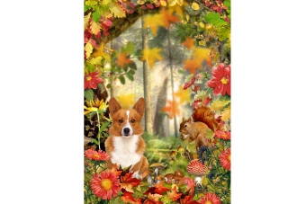 فریم و قاب با طرح روباه و سنجاب