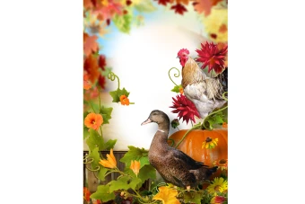 فریم و قاب با طرح مرغابی و خروس