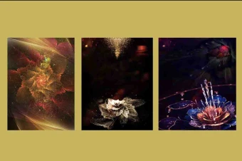 4 قالب پس زمینه وکتور گل