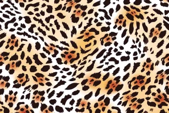 تکسچر و تصویر پلنگی