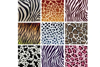 ست تکسچر پلنگی و سنگی