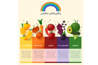 فایل لایه باز اینفوگرافیک هرم ارزش غذایی