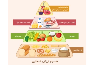 فایل لایه باز اینفوگرافیک هرم ارزش غذایی
