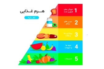 فایل لایه باز اینفوگرافیک هرم ارزش غذایی