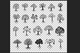 مجموعه وکتورهای لایه باز درخت