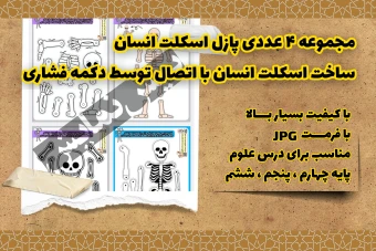 پازل اسکلت انسان