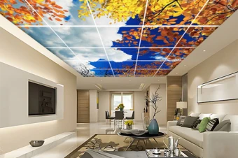 موکاپ آسمان مجازی | موکاپ سقف | موکاپ دیوار | موکاپ اسمان مجازی | موکاپ طرح آسمان مجازی | موکاپ سقف آسمان مجازی | موکاپ طرح اسمان مجازی