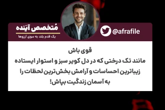 قالب اینستاگرام | بازنشر محتوای توییتر