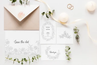 مجموعه کلپ‌آرت برگ‌های مانسترا برگ انجیری | حاشیه متن برای طراحی عروسی و کارت دعوت