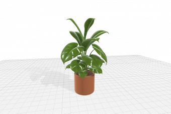 دانلود مدل سه بعدی گیاه آپارتمانی – دانلود آبجکت گیاه آپارتمانی