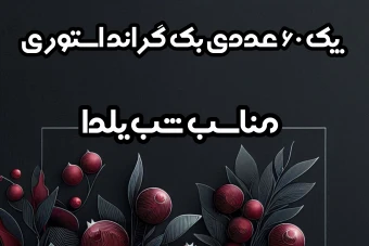 دانلود پک 60 عددی بک گراند استوری اینستاگرام با طرح انار و هندوانه مناسب شب یلدا