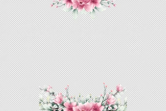 تصویر گل بدون زمینه با کیفیت بالا 2