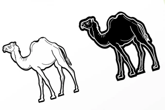 طرح لایه باز شتر با فرمت کورل دراو