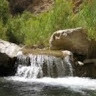 مهرداد زارع