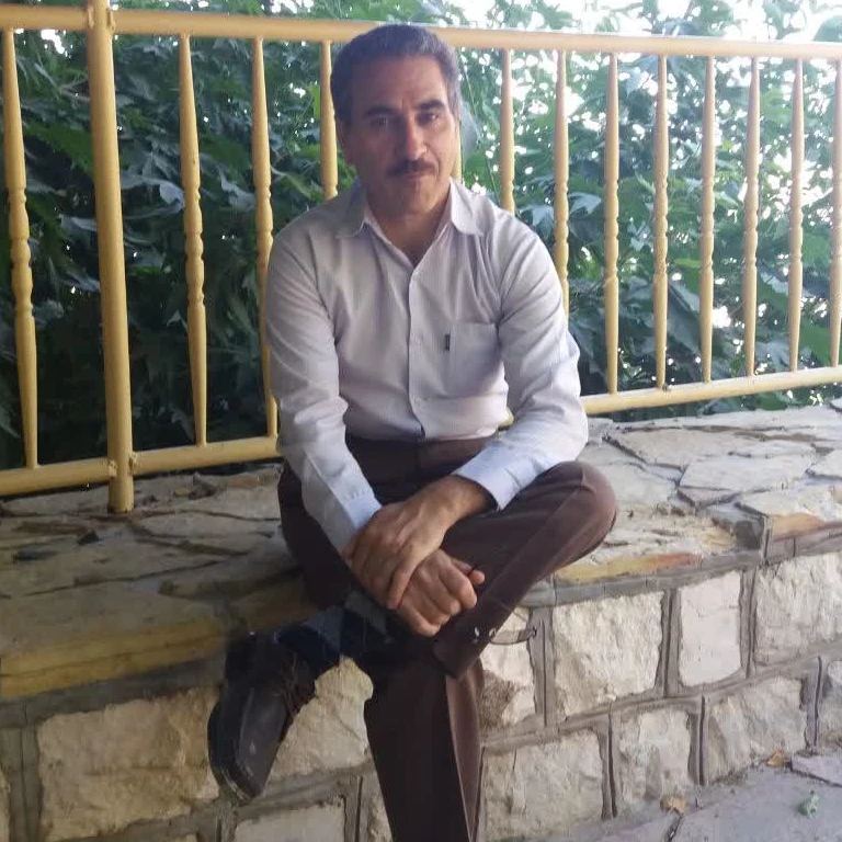 امیر سلیمانی