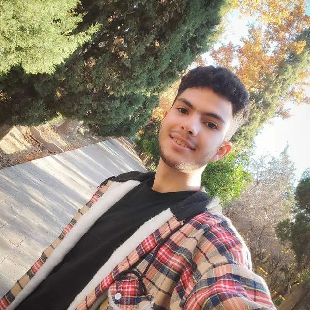 محمدمهدی محمودی