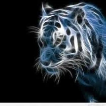 محسن دهشیری